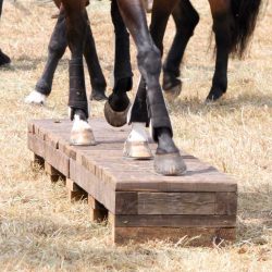 Naturtrail to go-BalanceBeam mit Pferdefüßen